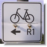 R1