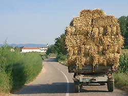 Doanuradweg