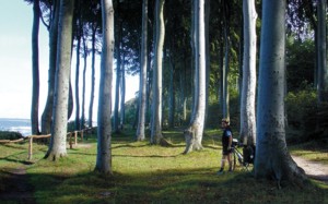 Steilkust aan de Oostzee