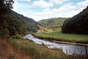 Veneti�