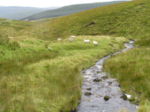 St.Columba route