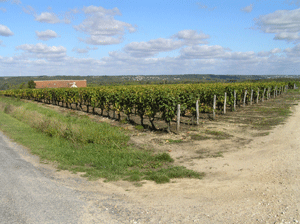 Loire kastelen route
