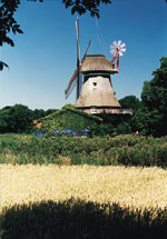 NSCR Duitland