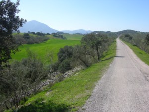 via verde